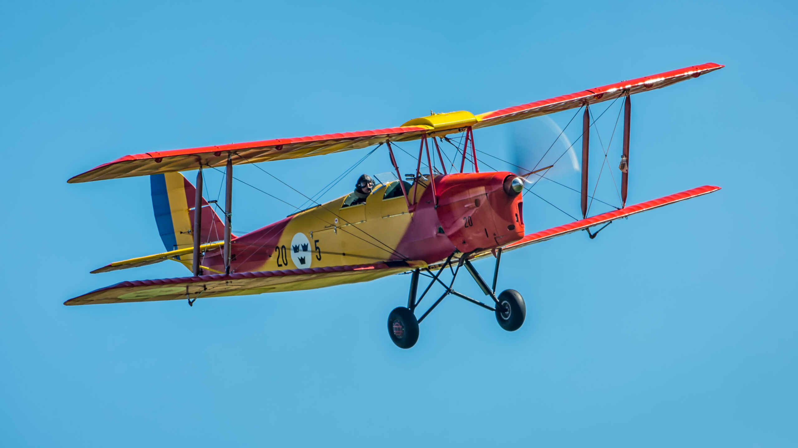 Tiger Moth